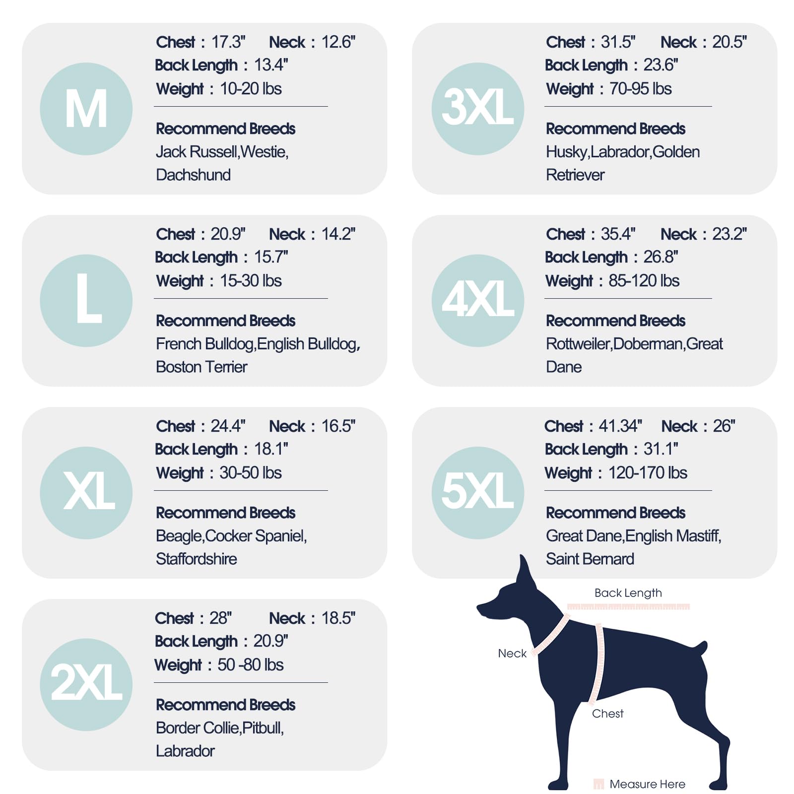 IECOii sudadera XL para perro grande, vista trasera, cómodo ajuste para paseos activos.
