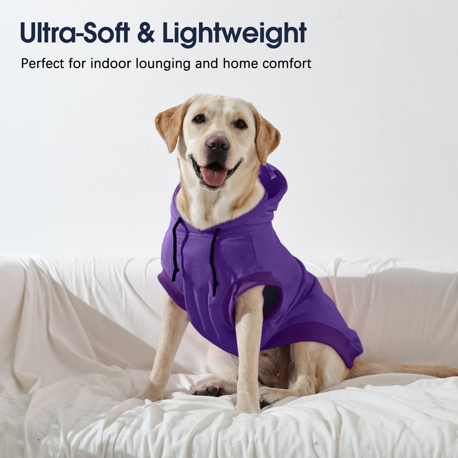 IECOii sudadera para perro grande XL, uso en primavera y otoño sin forro grueso