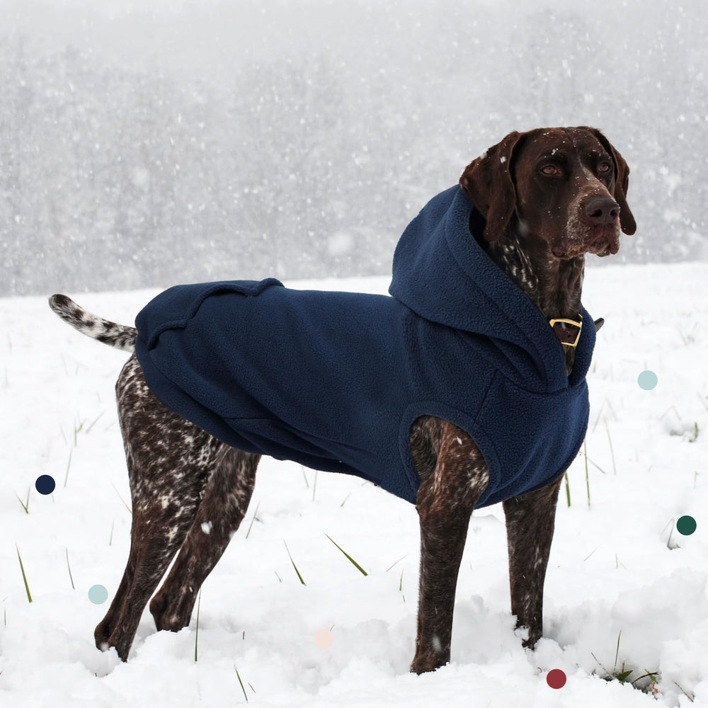 IECOii sudadera talla L para perros medianos, ajuste cómodo.