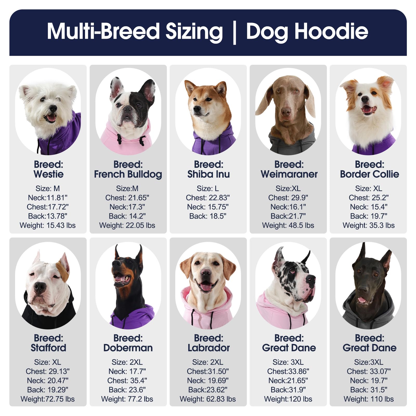 IECOii sudadera para uso diario en perros grandes, colores versátiles.