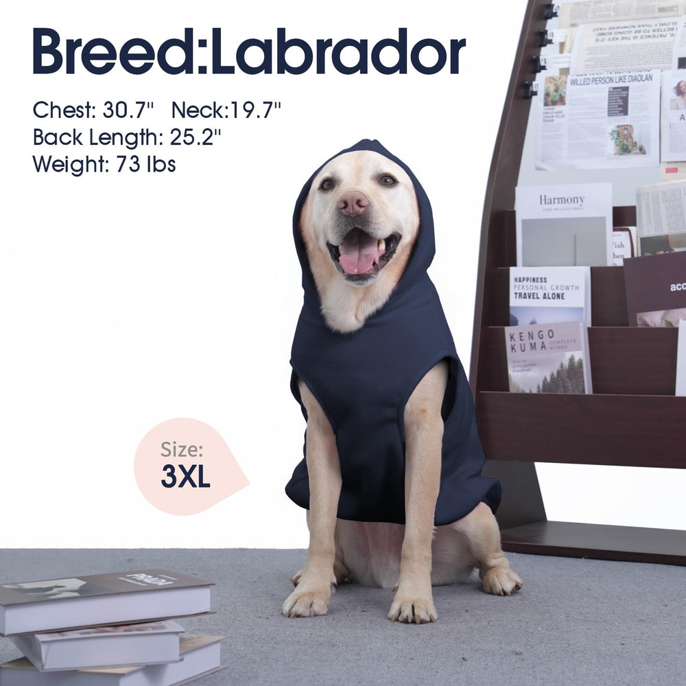 IECOii sudadera para exterior, ideal para paseos diarios en frío.