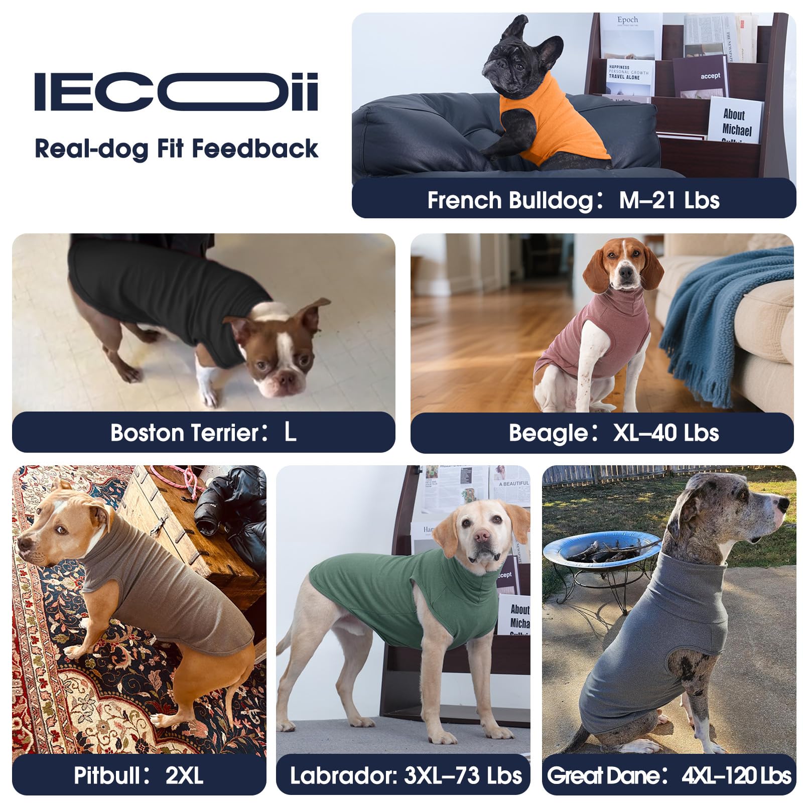 IECOii sudadera X-Grande, adecuada para perros grandes durante paseos.