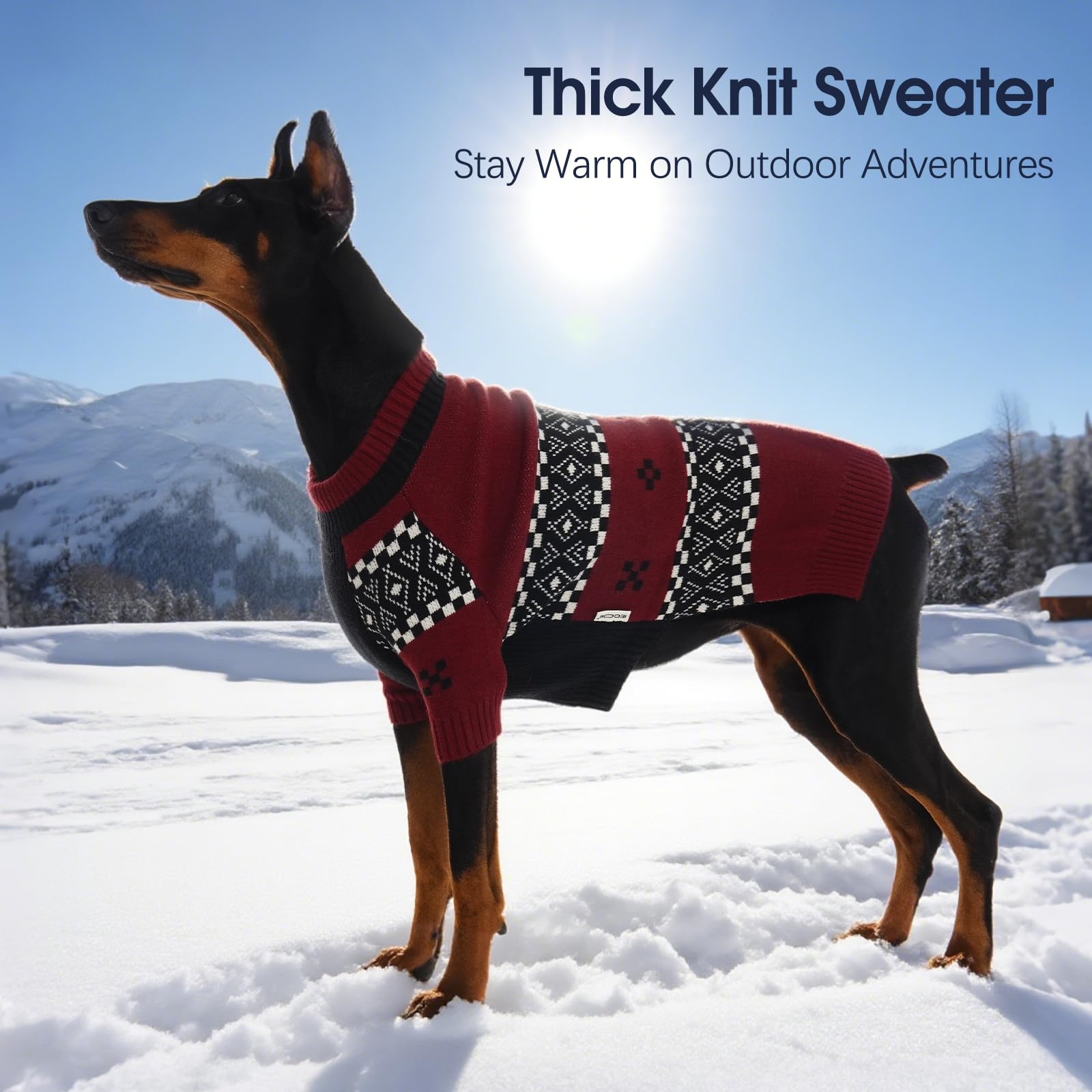 IECOii sudadera para perro XL lavable a máquina, durabilidad para uso diario.