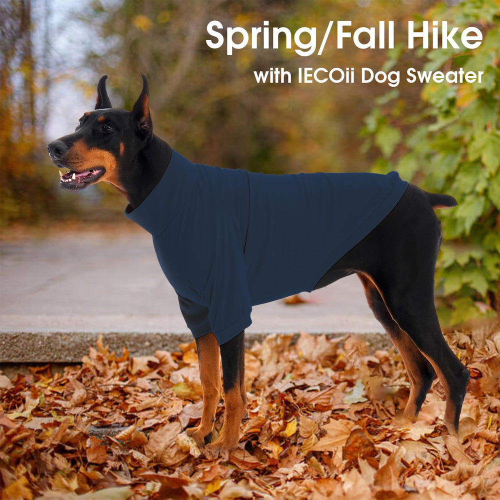 IECOii sudadera XXL para uso diario, ideal para paseos y descanso