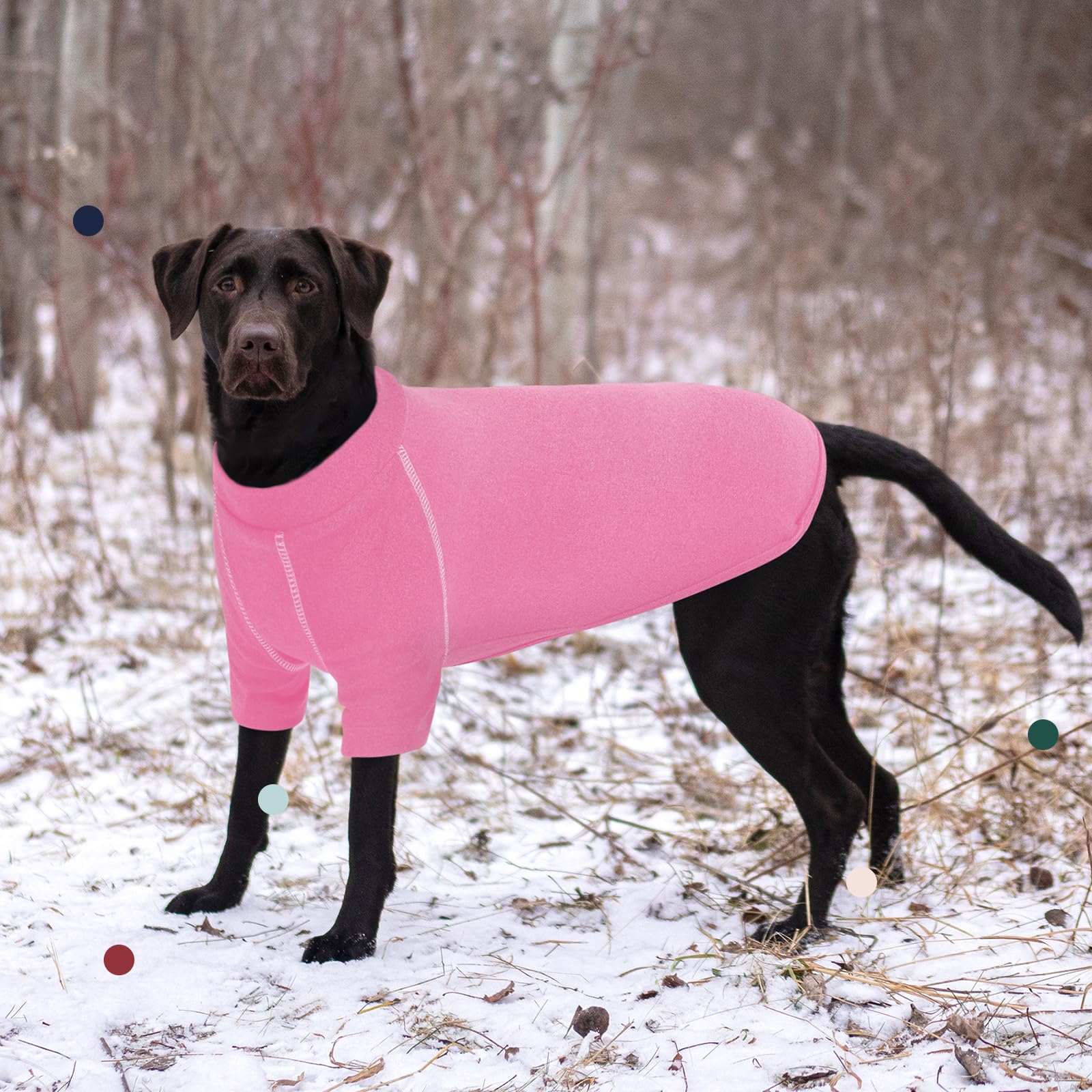IECOii sudadera-perro-xxxl diseño-pullover fácil de poner para paseos diarios.