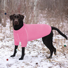 IECOii sudadera-perro-xxxl diseño-pullover fácil de poner para paseos diarios.
