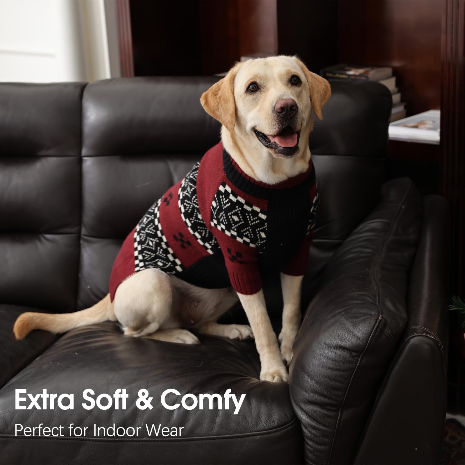 IECOii sudadera XXXL, lavable a máquina para cuidado diario.