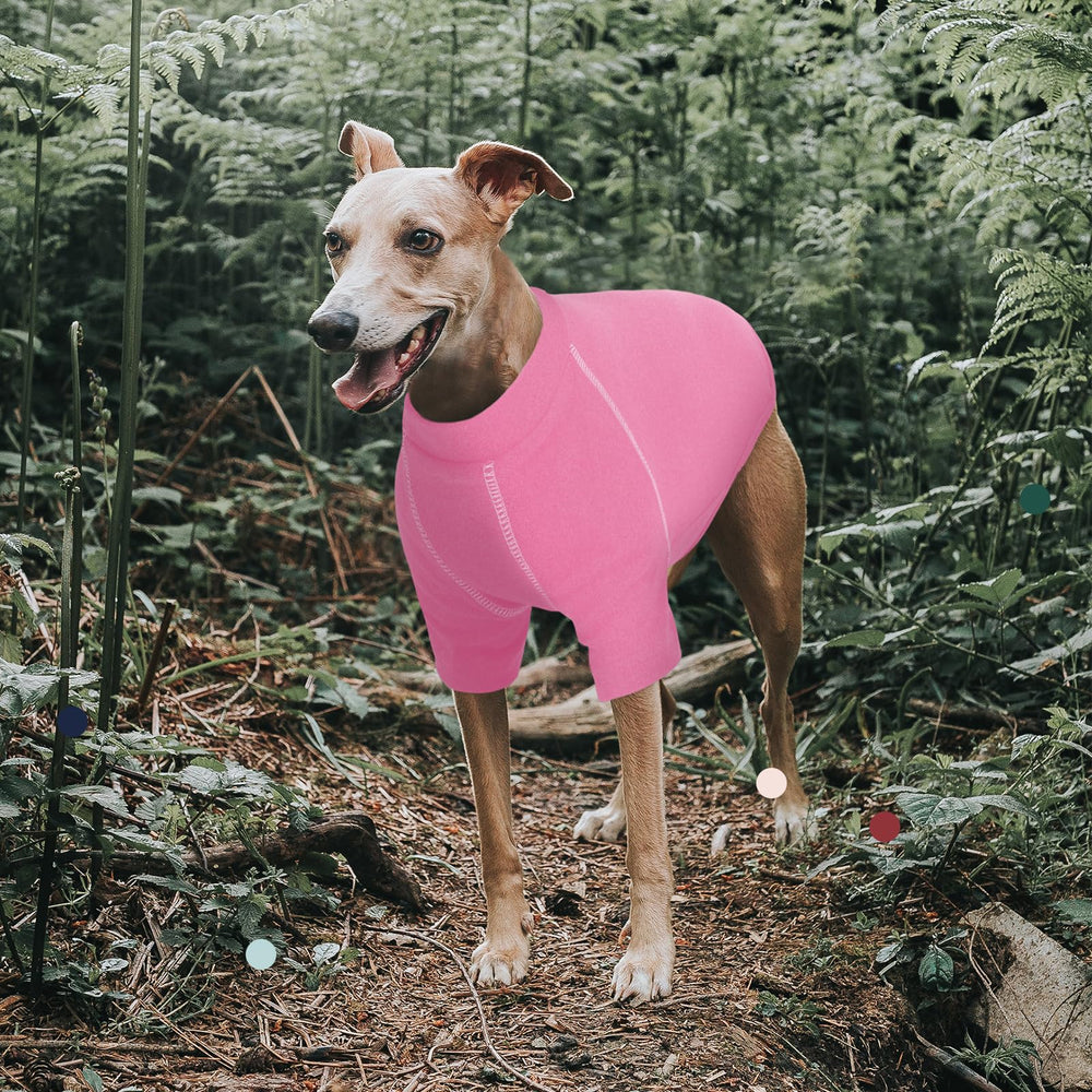 IECOii sudadera-perro-xxxl versátil para inviernos y climas frescos.