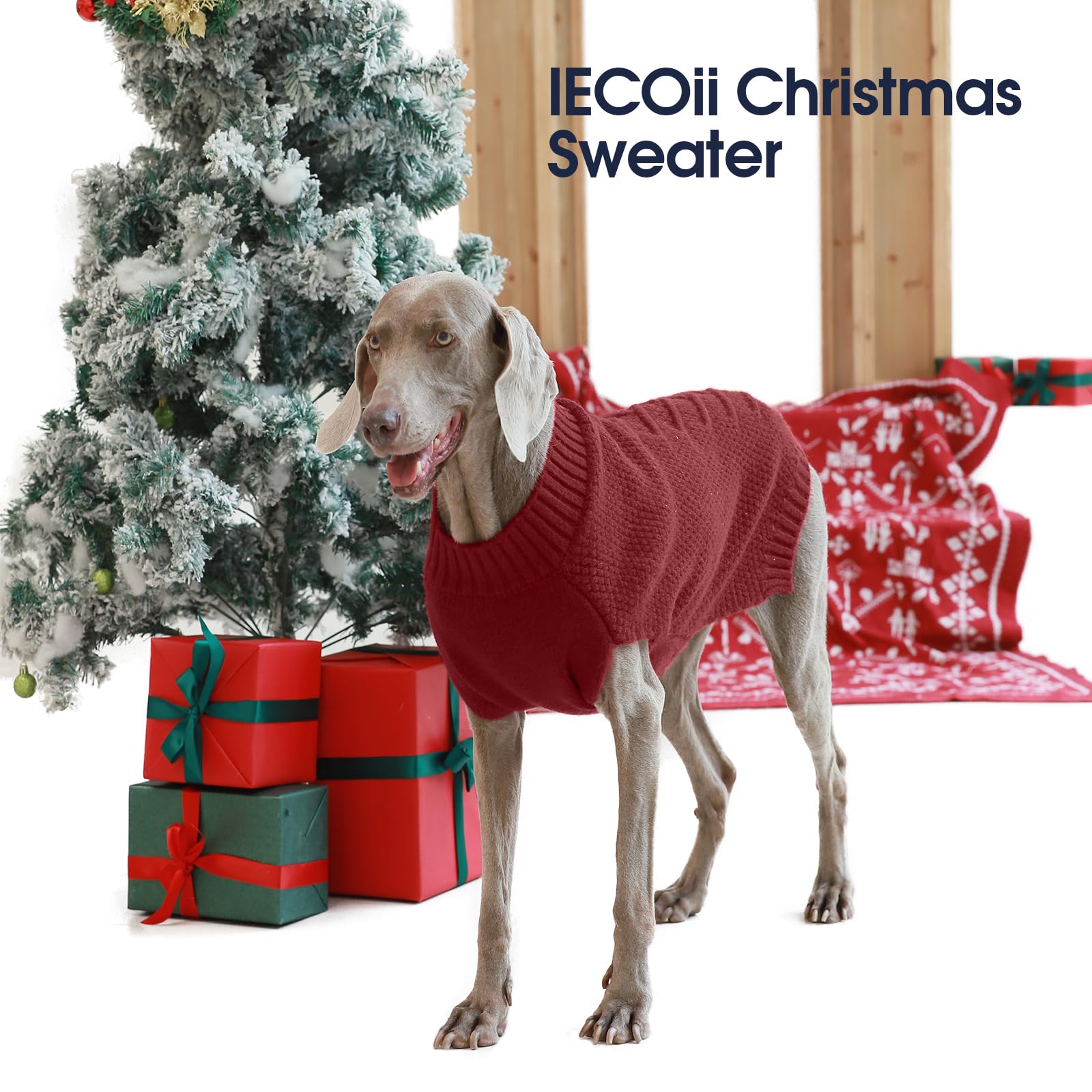 IECOii sueter extragrande, color rojo oscuro, ideal para salidas festivas.