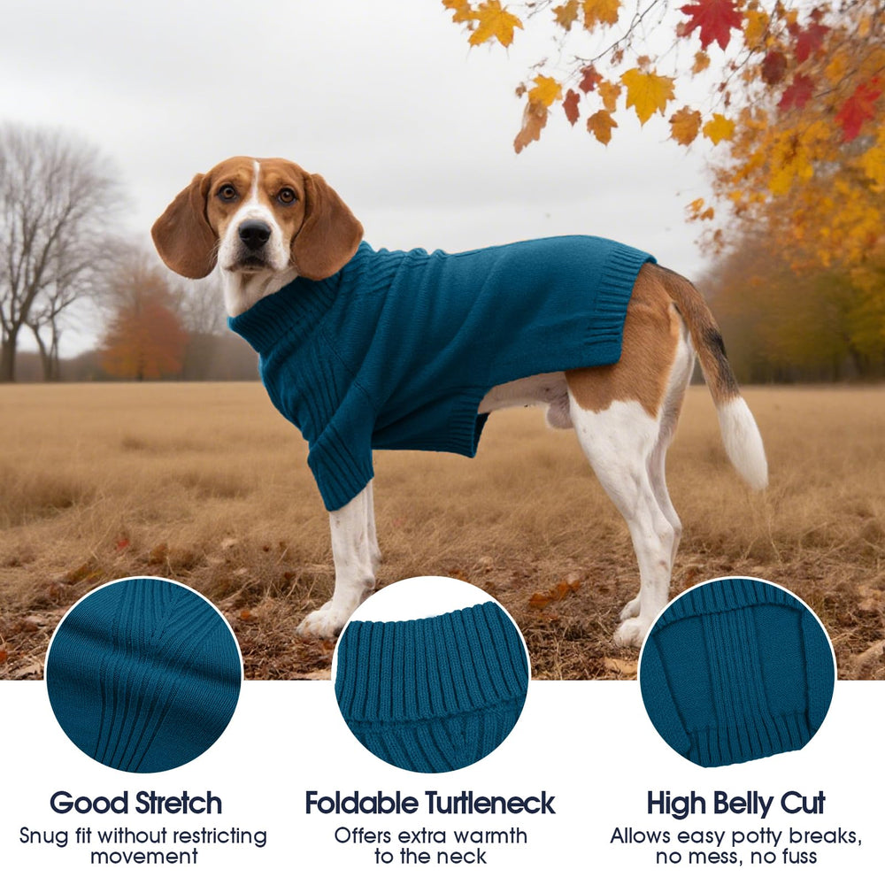 IECOii suéter con mangas azul pavo real para perro mediano, mangas visibles, fácil de poner.