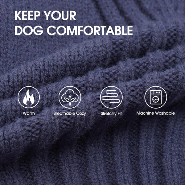 IECOii Dachshund Sweater espalda azul, look elegante para paseos.