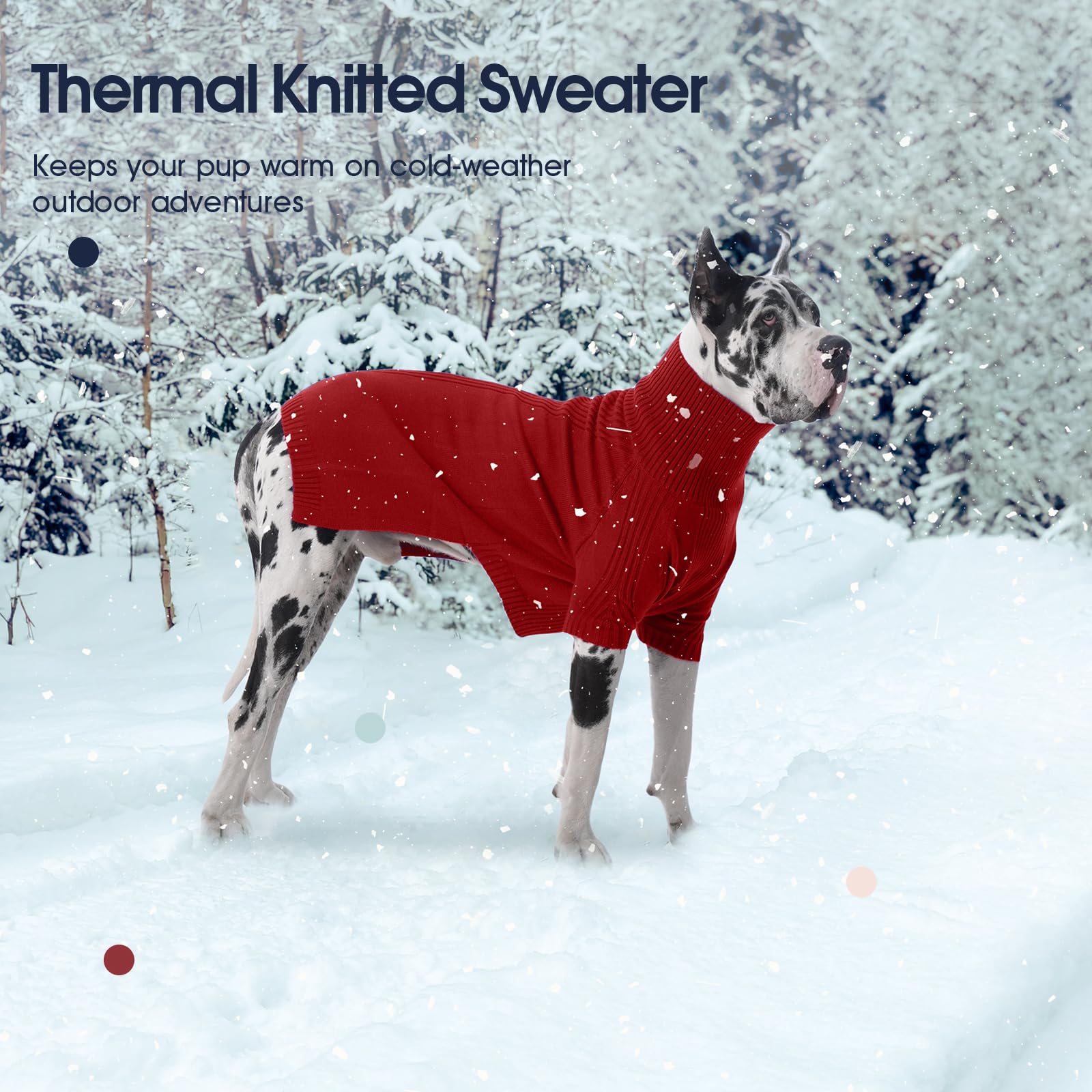 IECOii sueter Boston Terrier: diseño neutro para uso diario y eventos.