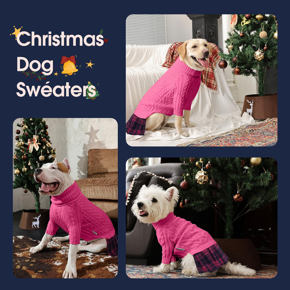 IECOii XL look navideno para perro grande durante paseos