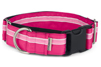Collar martingale If It Barks con hebilla rapida para colocar fácilmente