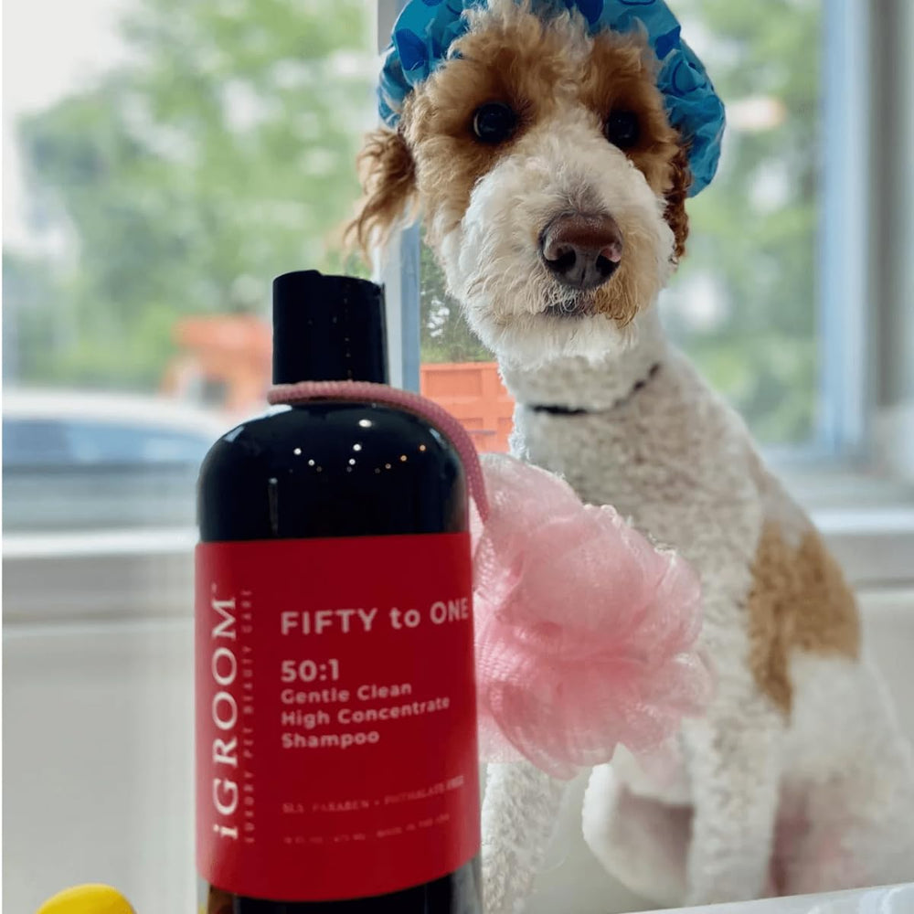 iGroom champú para perros lujo: fórmula concentrada ideal para baño profesional y ahorro.