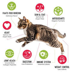 iHeartCats arándanos deshidratados para antioxidantes