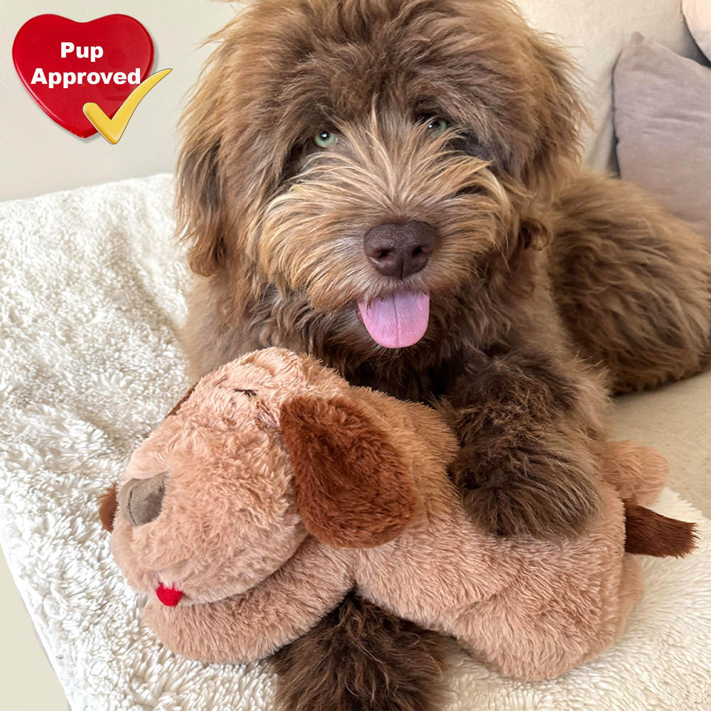 iHeartDogs Bolsillo-velcro-calor facilita uso y ajuste del calor.