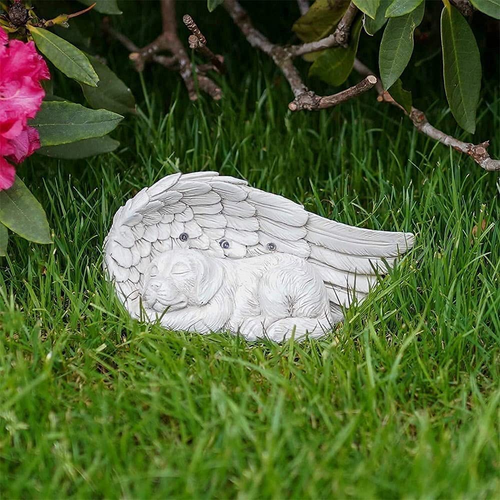 iHeartDogs medidas 9x5x4: tamaño compacto para jardines pequeños
