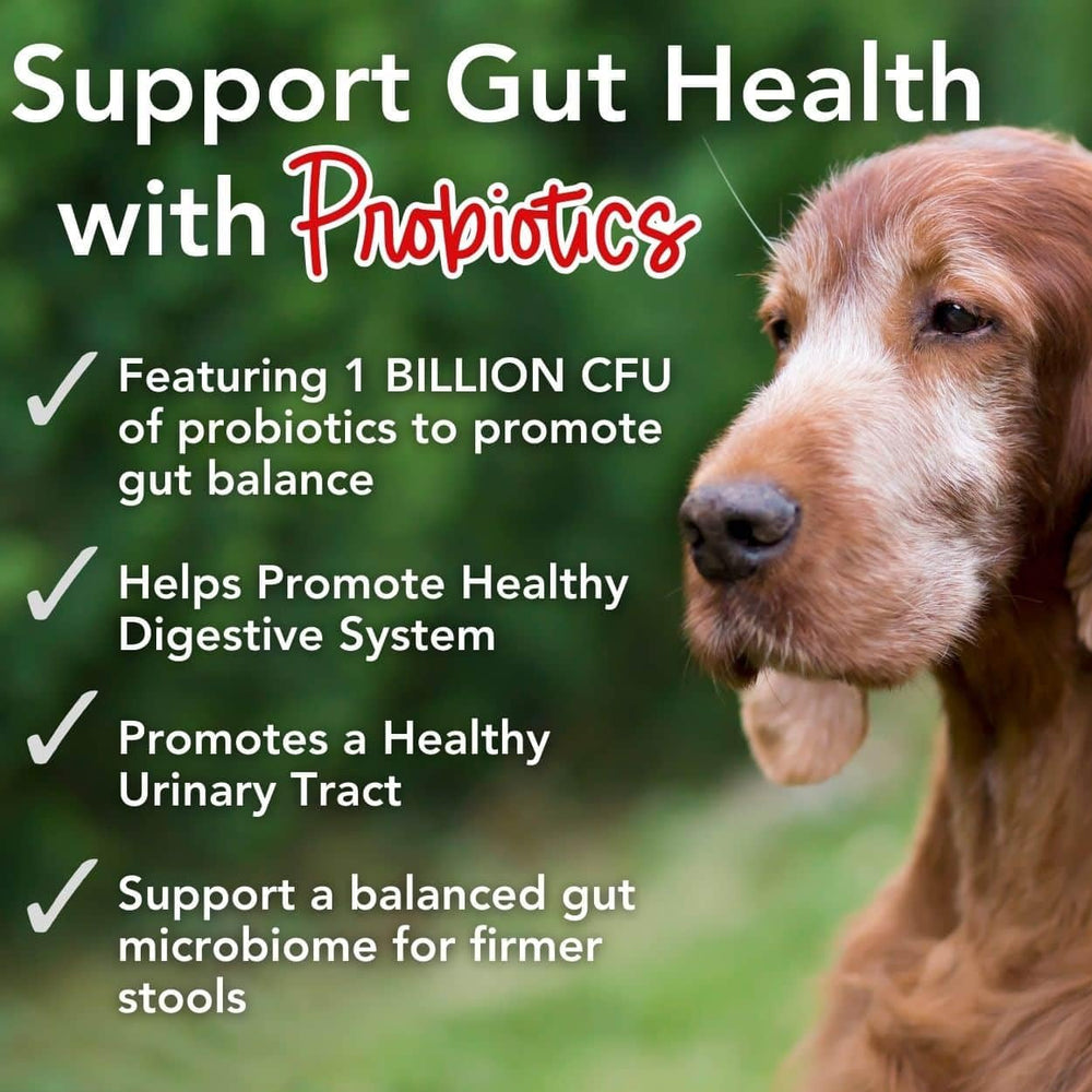 iHeartDogs Probioticos Omega 3 Polvo, mejora digestión y pelaje