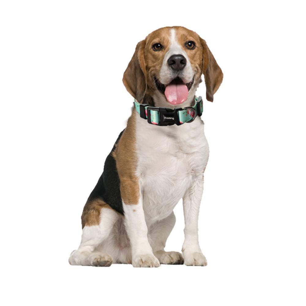 Ihoming conjunto collar y correa para paseos diarios con perros y gatos.