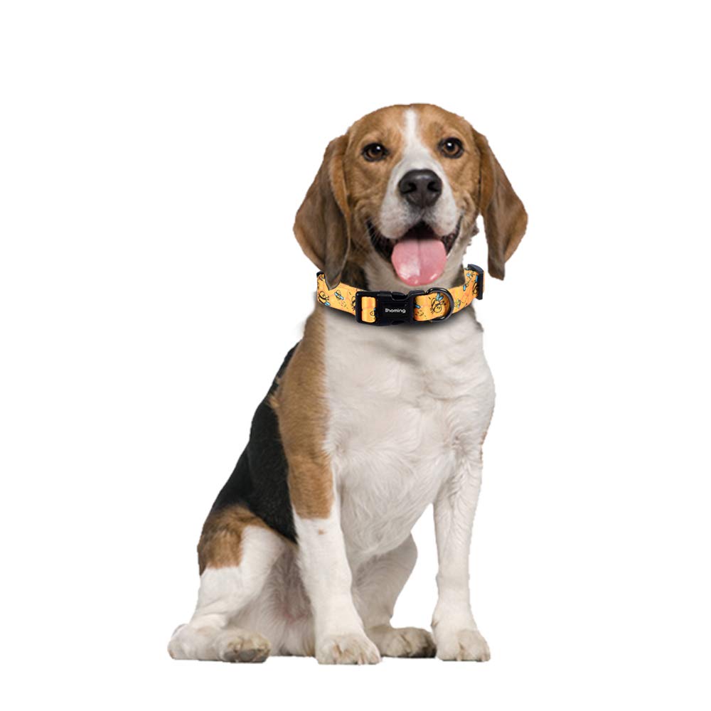 Ihoming set collar y correa, ideal para paseos diarios y entrenamiento ligero.