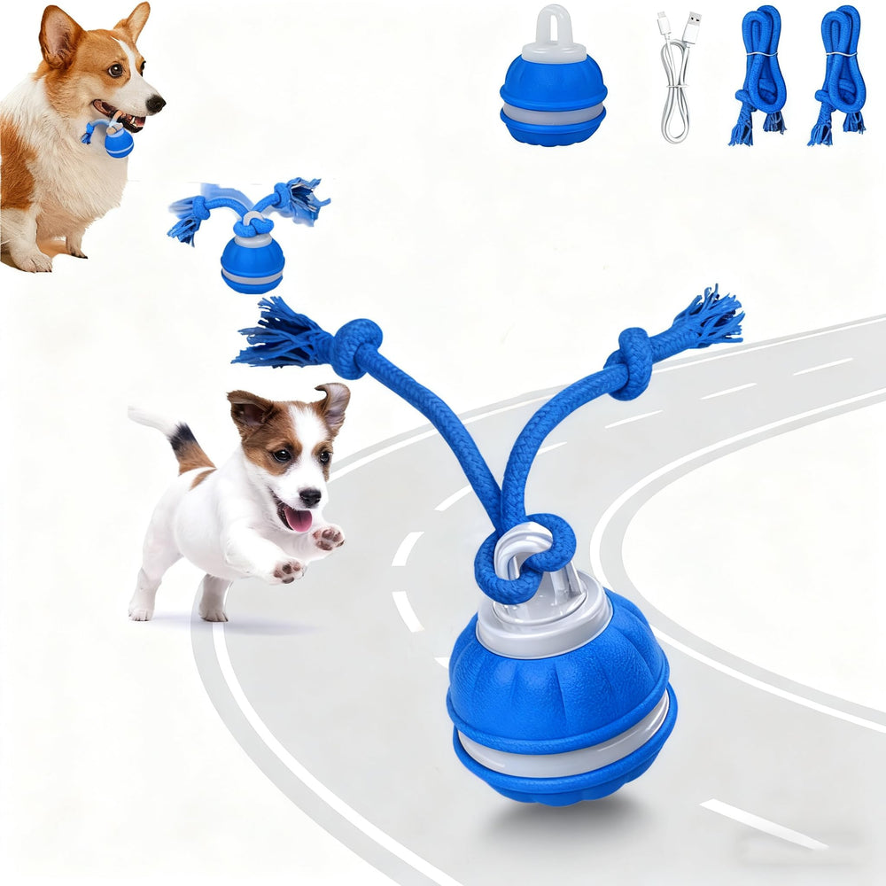 IIEFFJL Peppy Pet Ball con cuerda señalizadora para perros pequeños, fomenta juego activo.