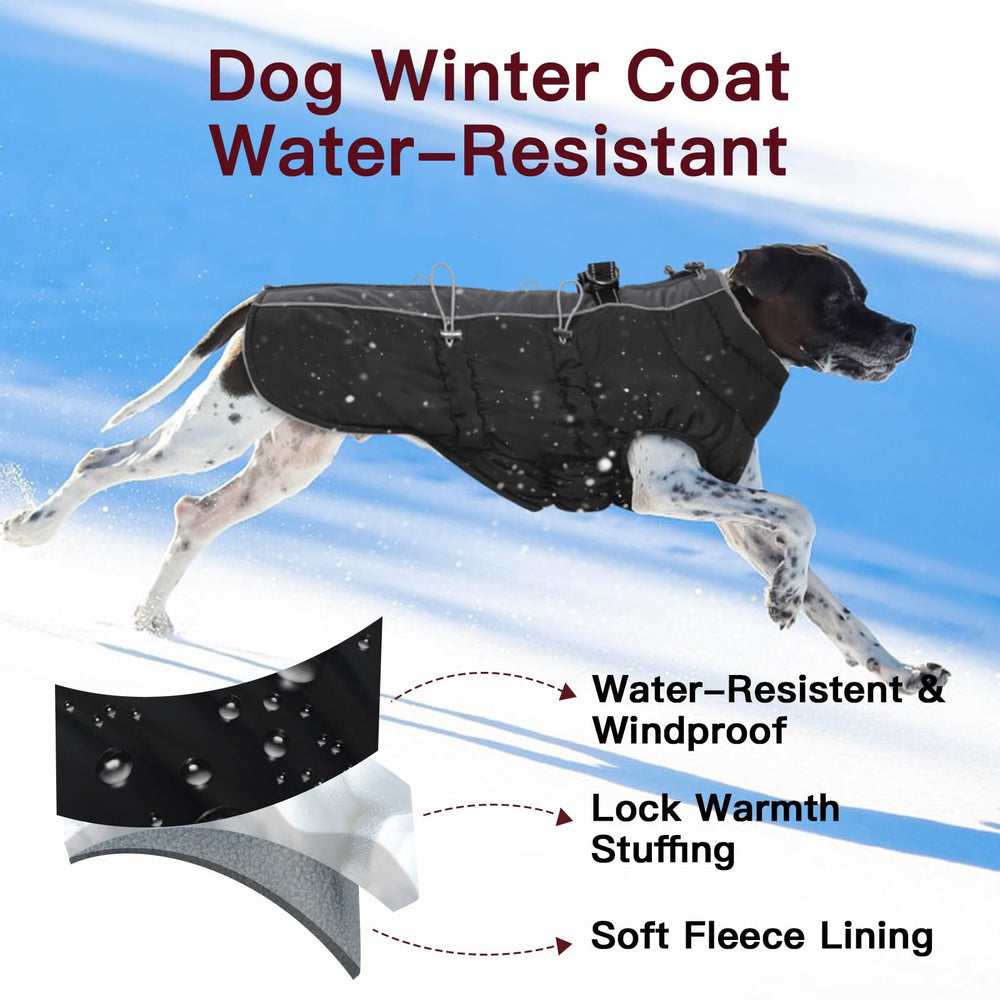 IKIPUKO capa perro invierno resistente al agua mantiene seco durante salidas.