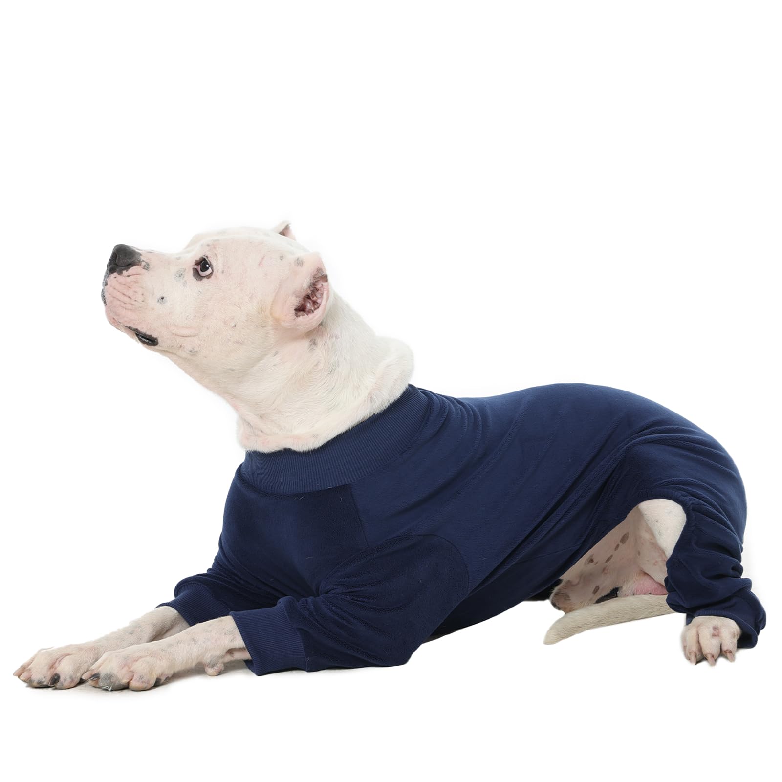 IKIPUKO pijama para perro detalle cierre elastico, ajuste cómodo