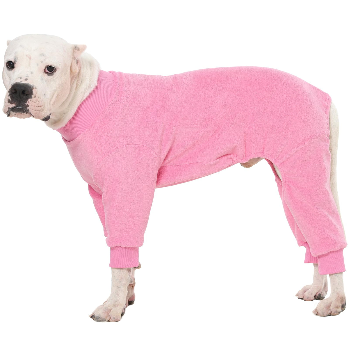 IKIPUKO pijamas-perro-cuatro-patas: abrigo cálido para paseos fríos.