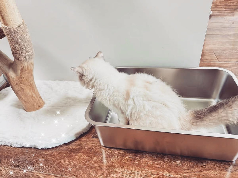 IKITCHEN caja-arena-gatos-acero-inoxidable-no-absorbe-olor mantiene el ambiente fresco
