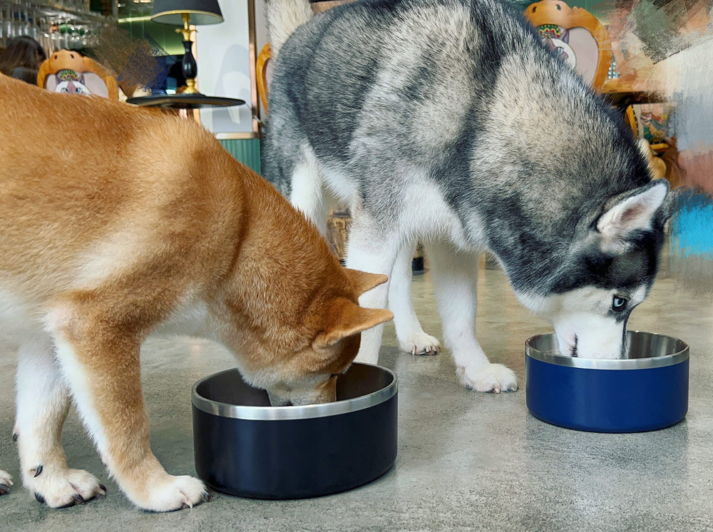 IKITCHEN tazón duradero apto para perros y otros animales.
