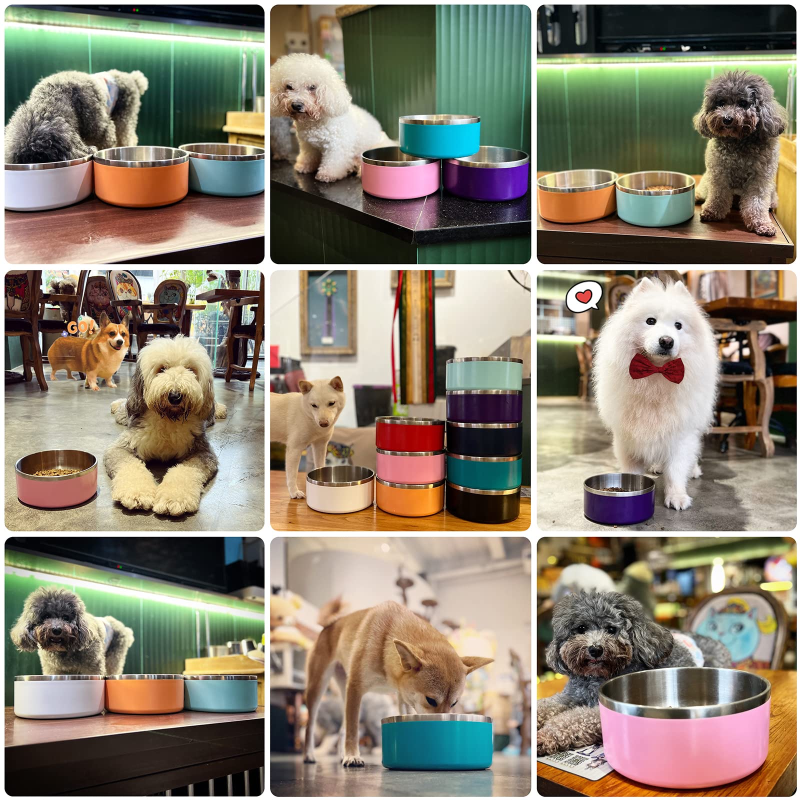 ikitchen tazón-para-perro apto para razas medianas y grandes.