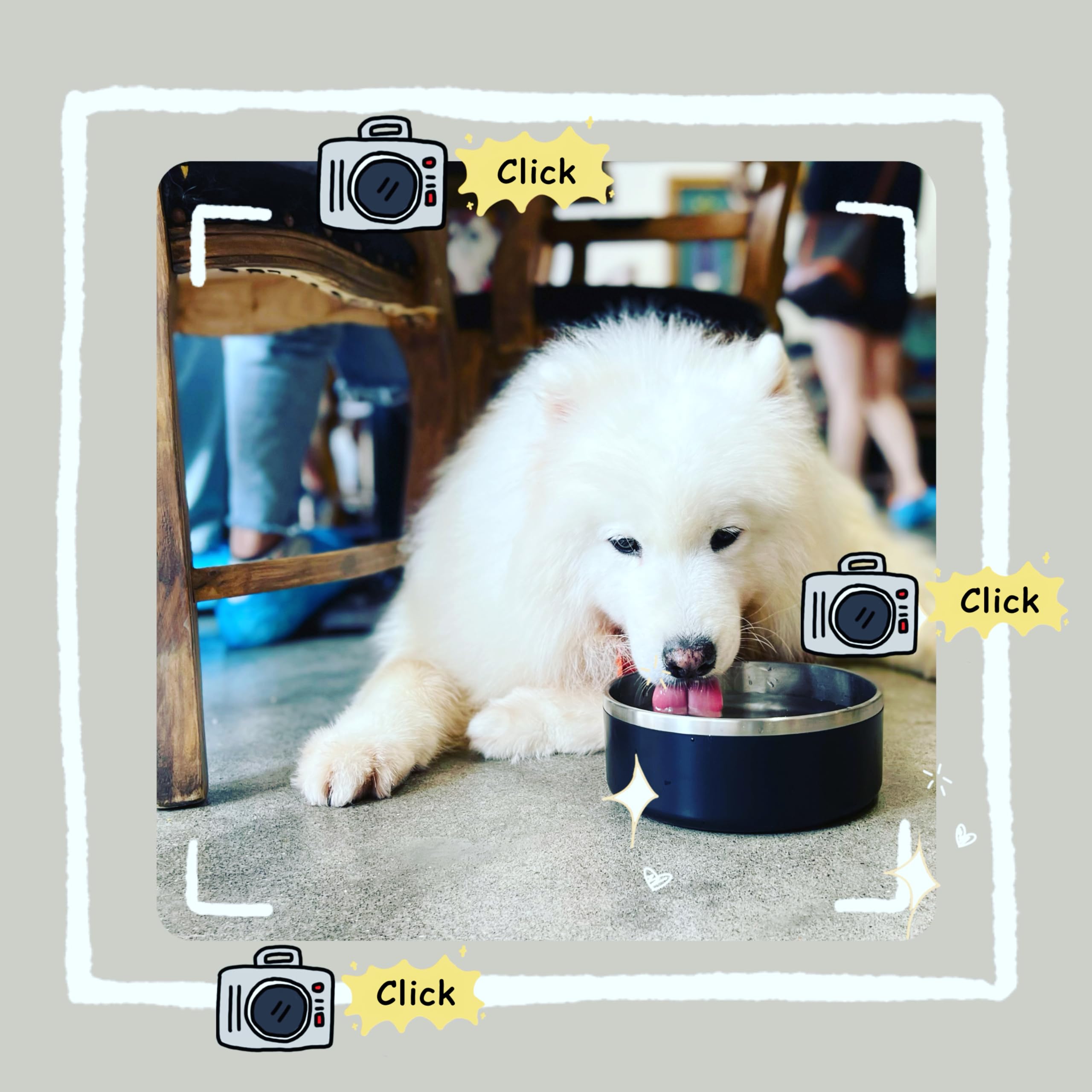 Tazón IKITCHEN capacidad 64 onzas, perfecto para perros grandes.