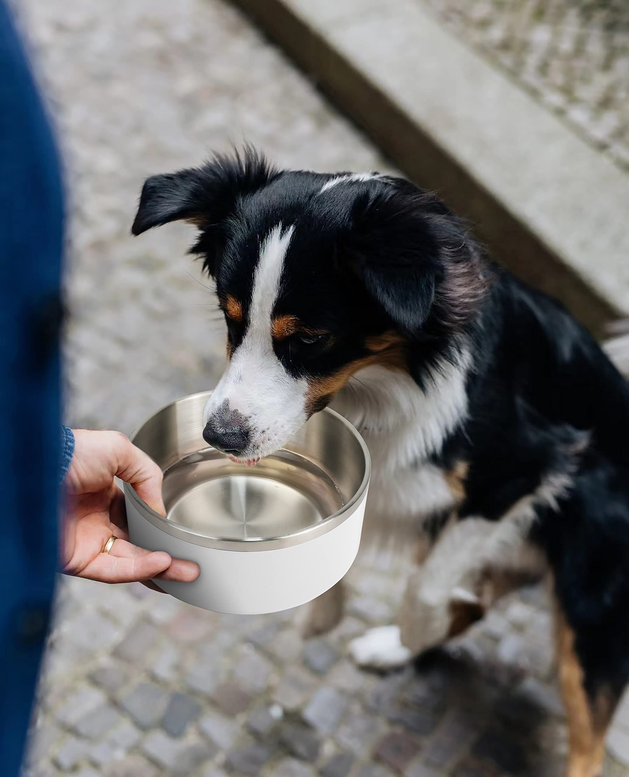 IKITCHEN tazón 64oz para perros grandes