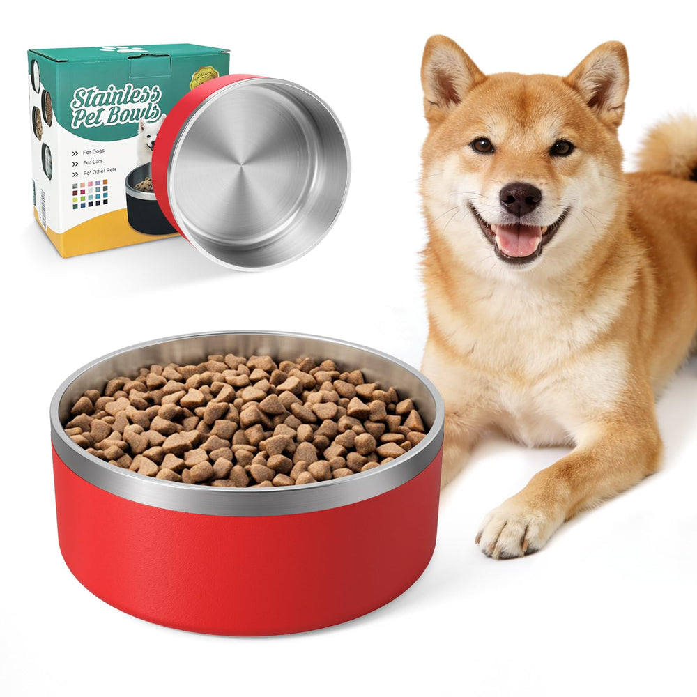 IKITCHEN tazón perro inoxidable doble pared para mantener comida fresca