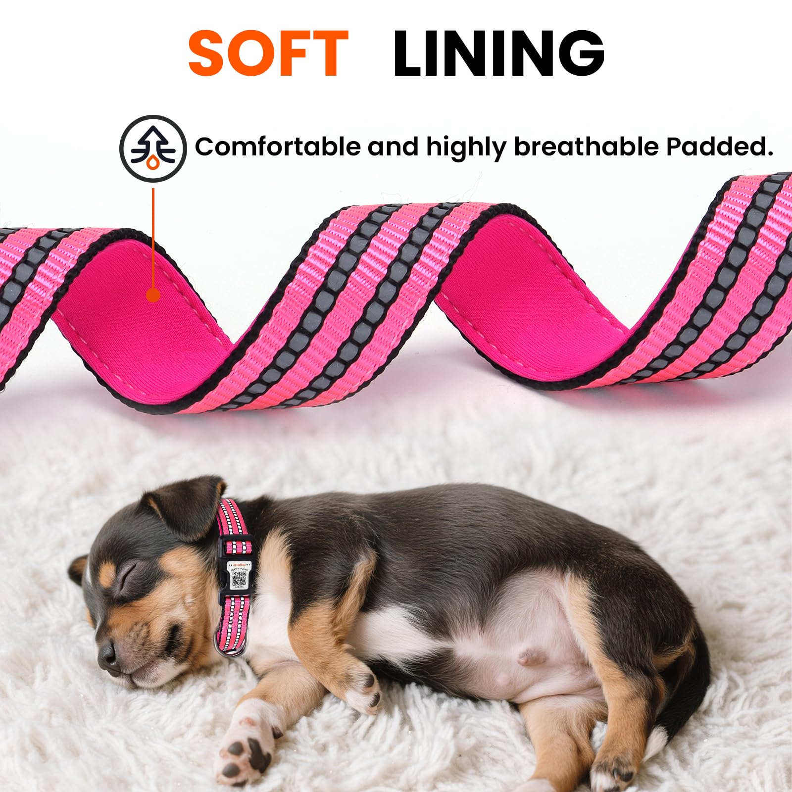 ilFindYou collar nailon duradero para uso diario seguro