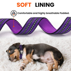 ILFINDYOU collar nylon duradero para uso diario y exterior.