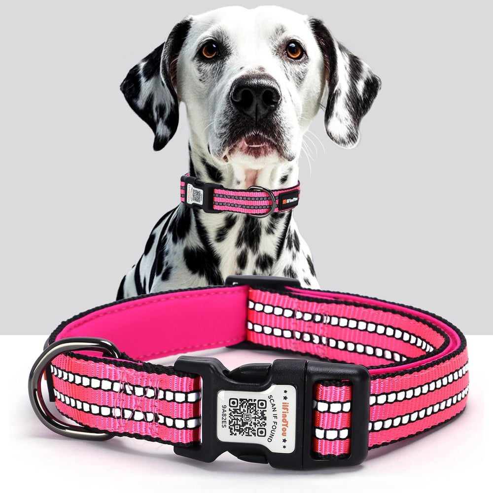 ilFindYou collar reflectante con código QR para mayor visibilidad nocturna