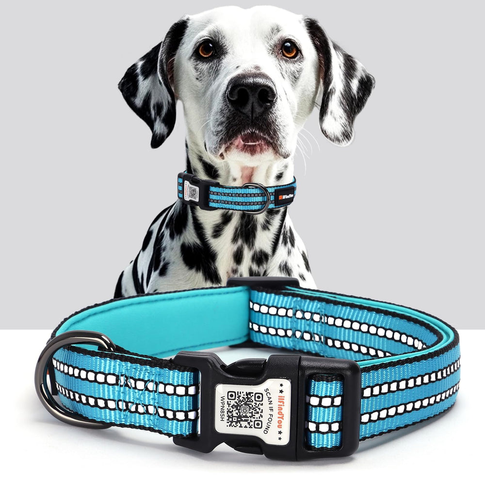 ilFindYou collar reflectivo azul con código QR para mayor visibilidad nocturna