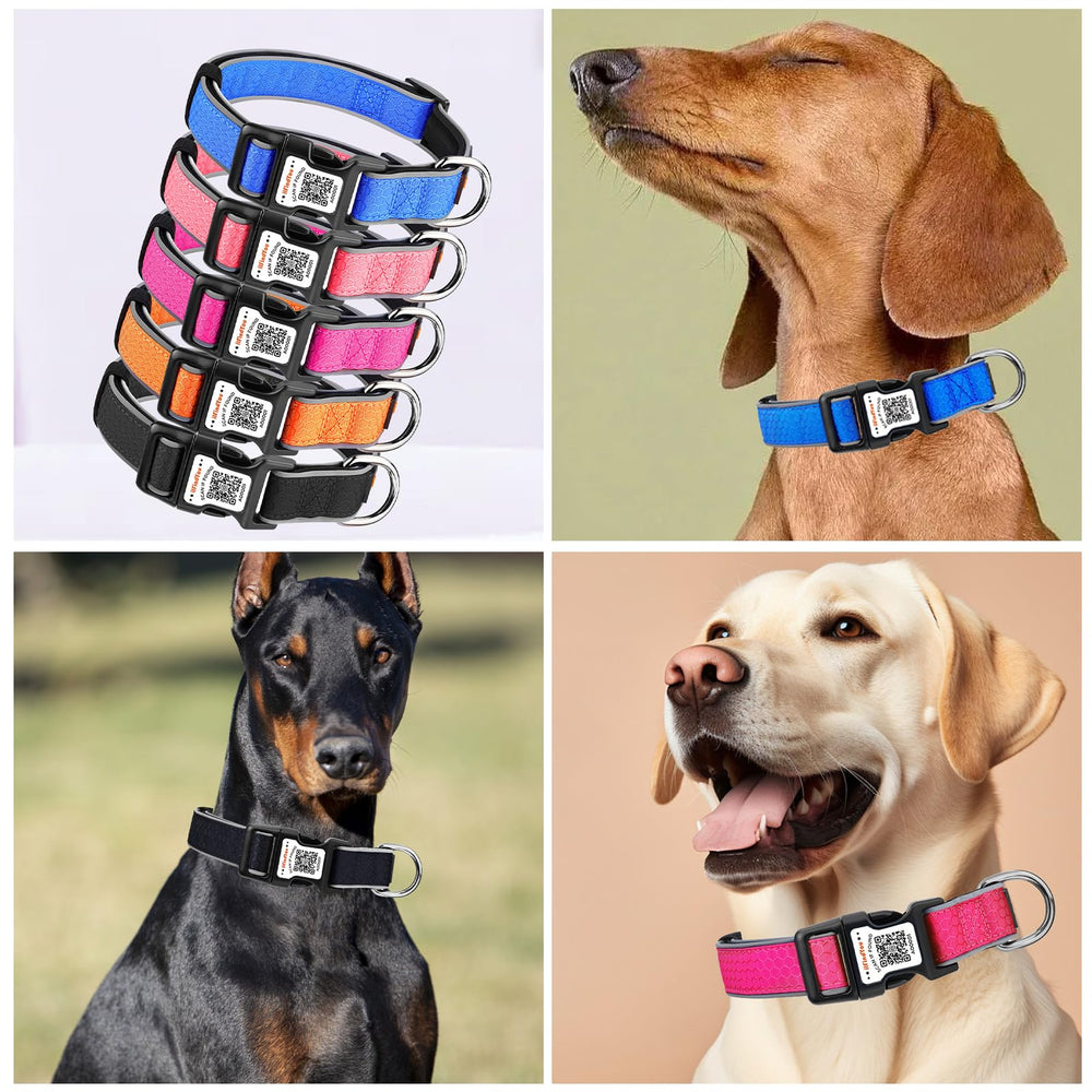 ILFINDYOU regalo personalizado ideal para amantes de mascotas