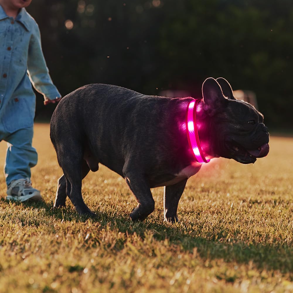 Illumifun collar para noches de paseo, mejora la visibilidad desde lejos.