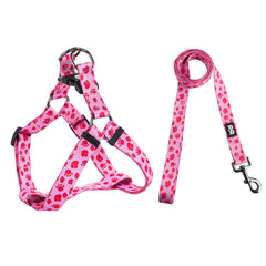QQPETS arnés para perro con diseño elegante para paseos diurnos.