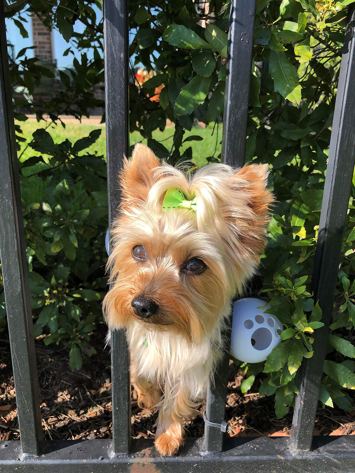 Arnés para Perro Fencemate (Talla Pequeña) 12-16 Pulgadas – Seguridad contra Escape