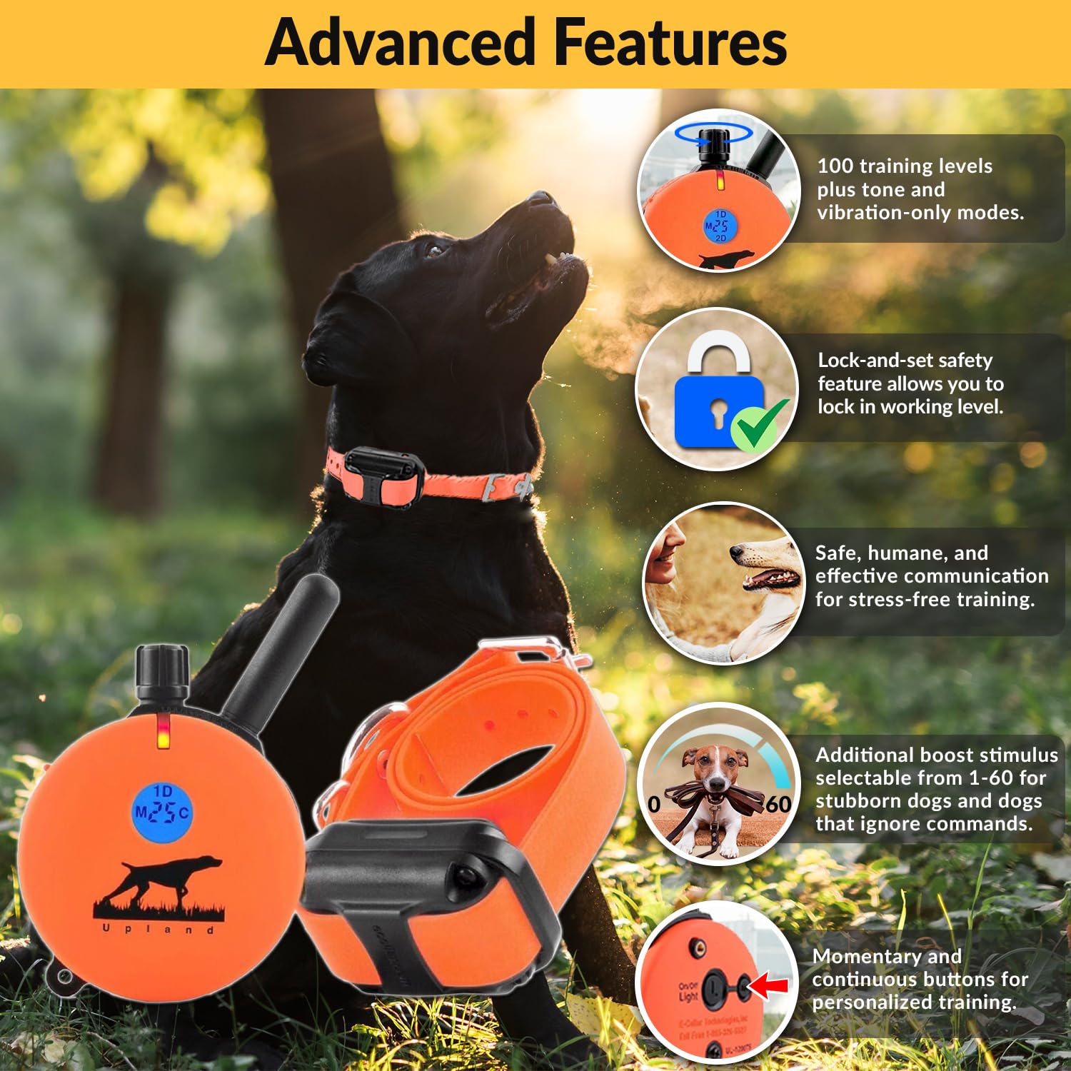 Educator E-Collar Humane Dog Training Collar with Remote — 1 Mile Range, 100 Levels, Night Light, Waterproof