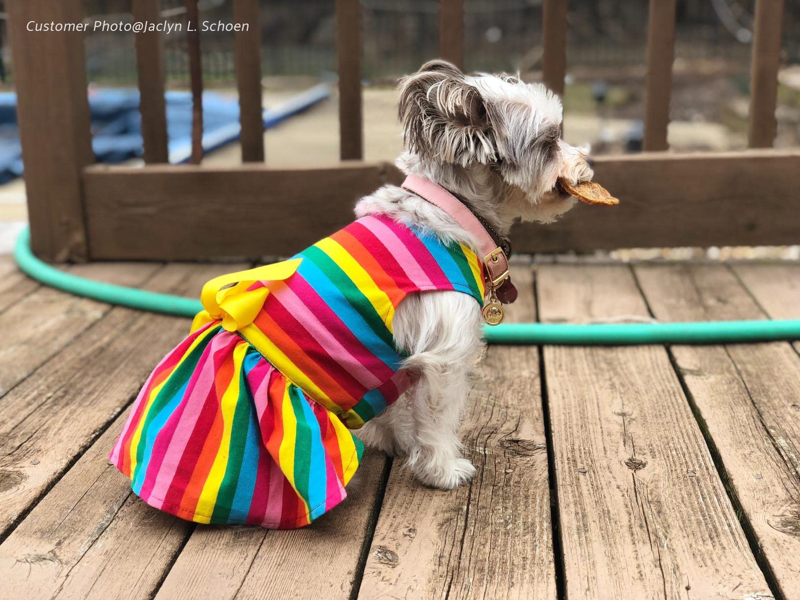 Fitwarm Rainbow Striped Dog Dress, Summer Dog Clothes for Small Dogs Girl, Pet Cat Outfit, 100% Breathable Cotton, Red Yellow Blue, Medium
