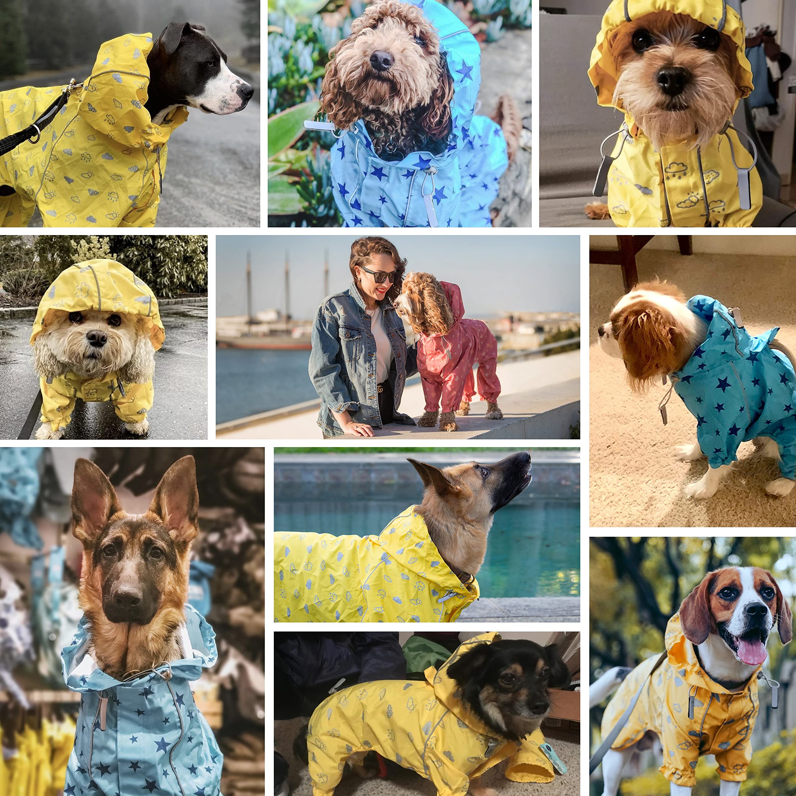 Blueberry Pet impermeable con reflectantes y capucha, seguridad nocturna.