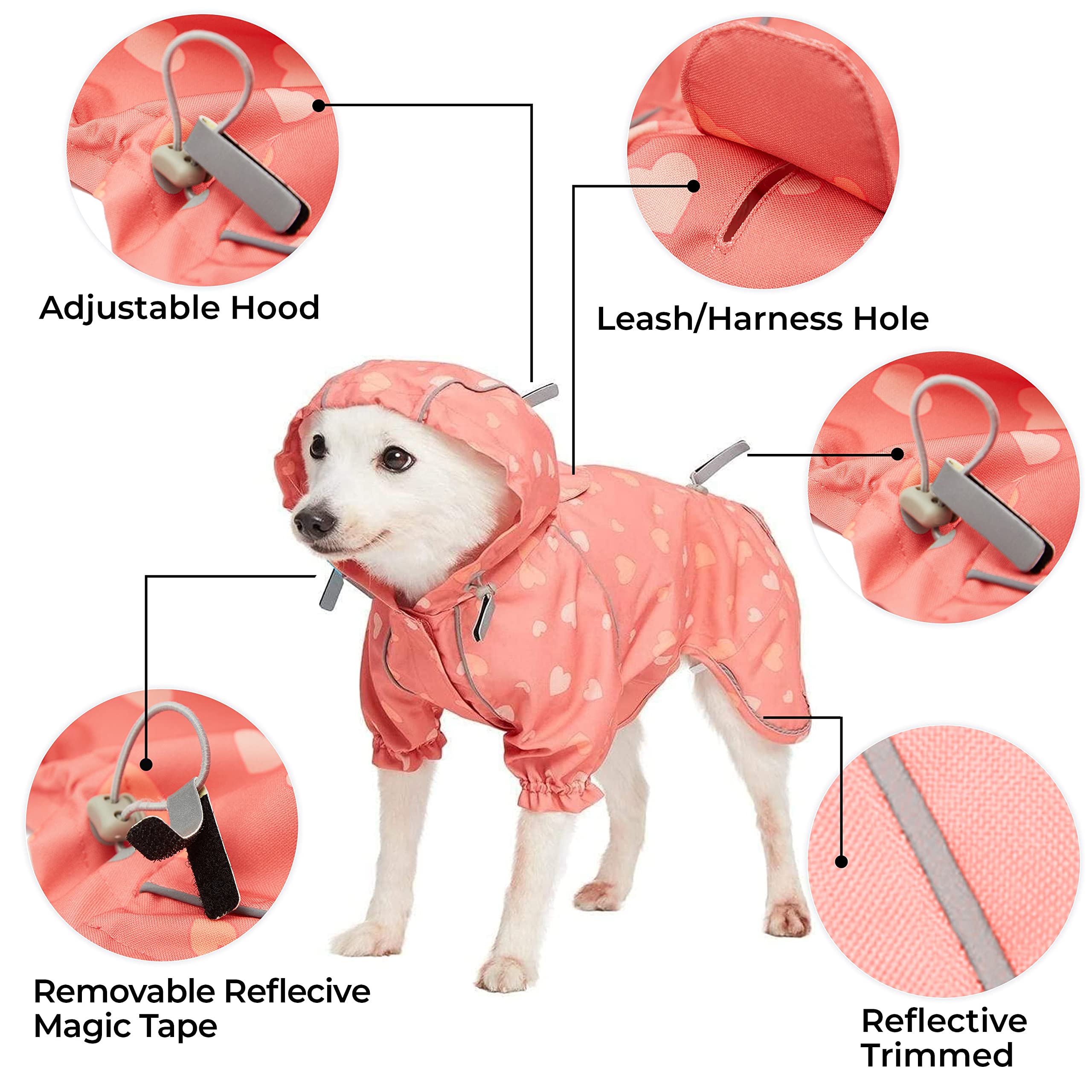 Blueberry Pet impermeable, orificio para arnés, ajuste seguro para paseos.