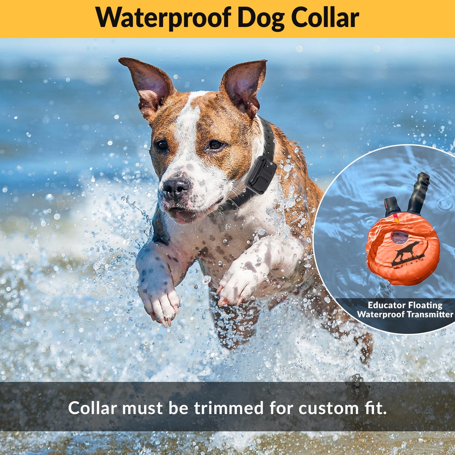 Educator E-Collar Humane Dog Training Collar with Remote — 1 Mile Range, 100 Levels, Night Light, Waterproof