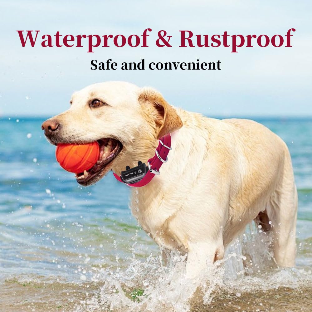 TrainPro – Correa de repuesto universal para collar de entrenamiento canino, 27,5 por 0,75 pulgadas, TPU impermeable