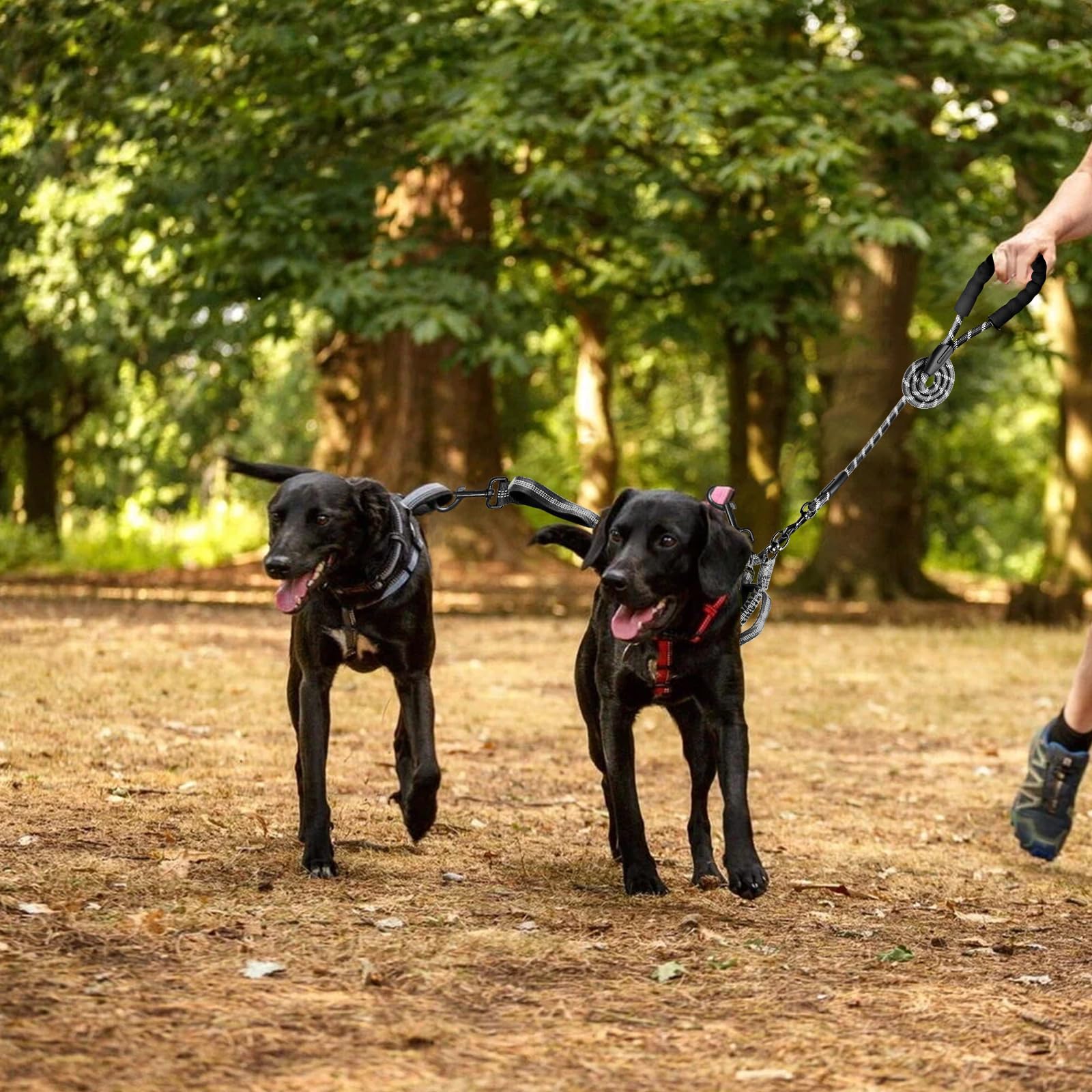 Drgxle Correa Doble para Dos Perros – 5.5 ft, 1/2